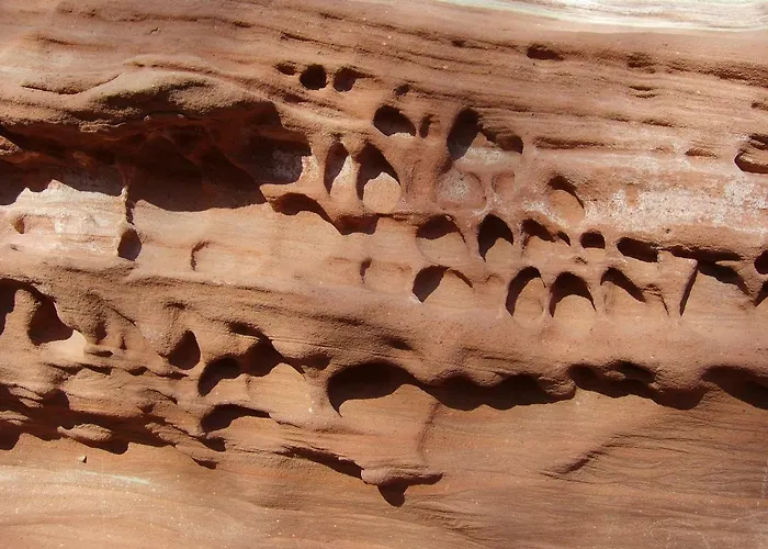 Ferienhuette Stephanie 펜션 *